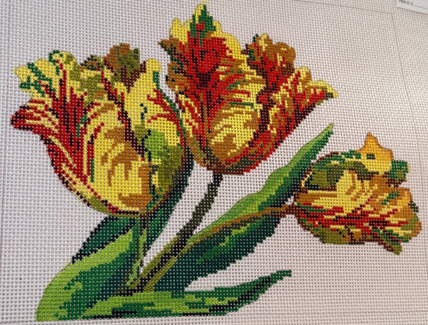 Parrot Tulips