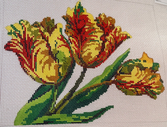 Parrot Tulips